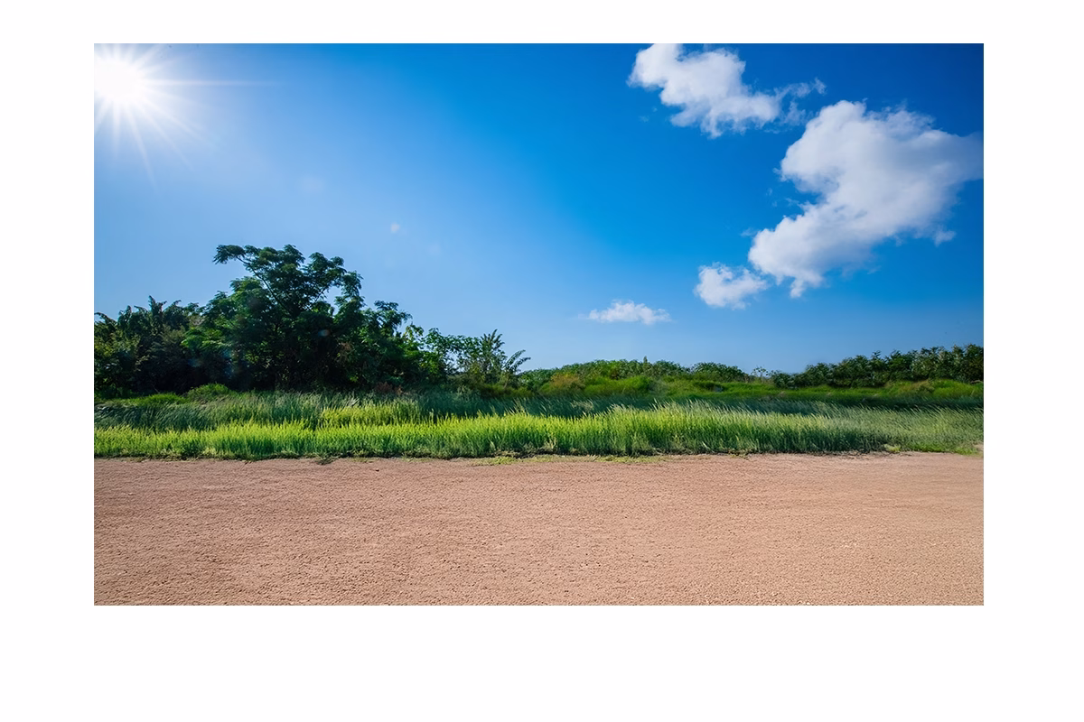 PaisajesVII-LomasdeCocoyoc-Edico